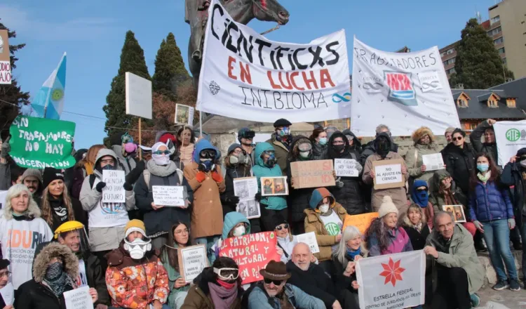 imagen del articulo