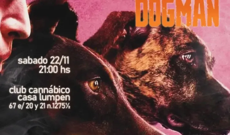 imagen del articulo