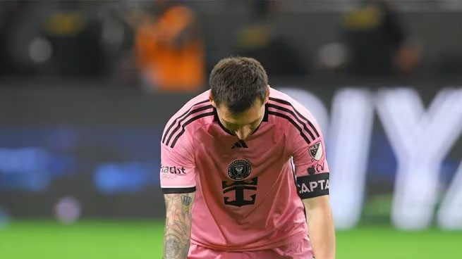 imagen del articulo