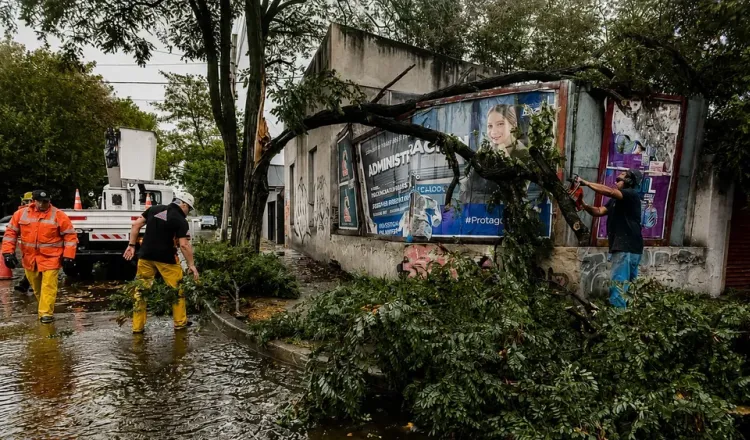imagen del articulo