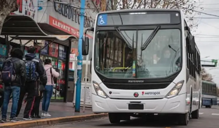 imagen del articulo